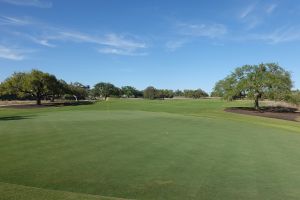 Driftwood 11th Back